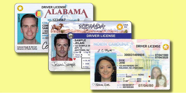 online drivers license maker